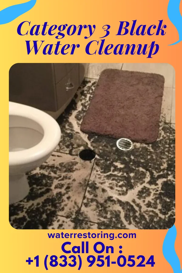 Category 3 Black Water Cleanup in Alamo, TN