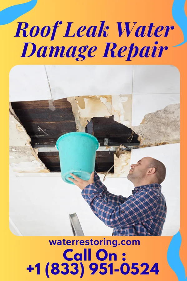 Roof Leak Water Damage Repair in Alamo, TN
