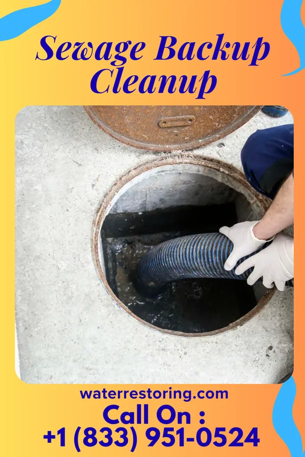 Sewage Backup Cleanup in Alamo, TN