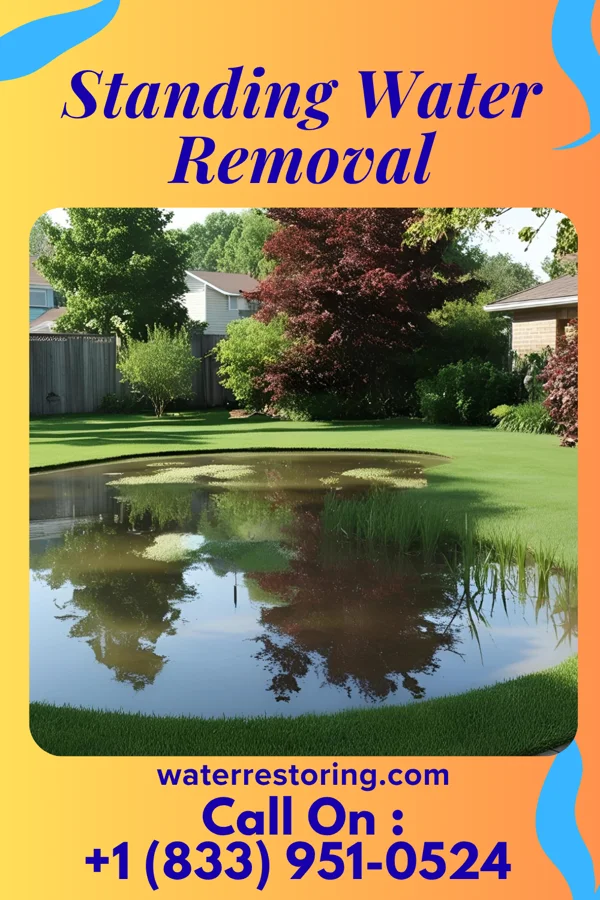 Standing Water Removal in Alamo, TN